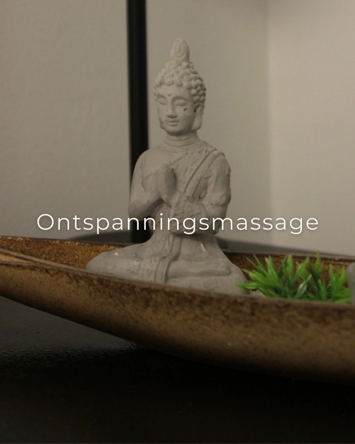 Boeddhabeeld in een ontspannende massageomgeving met groene planten, een rustgevende massagesfeer.